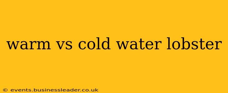 warm vs cold water lobster