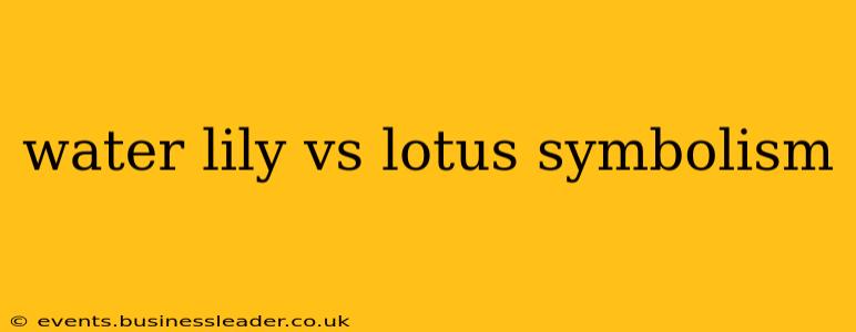 water lily vs lotus symbolism