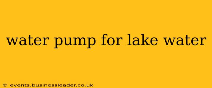 water pump for lake water