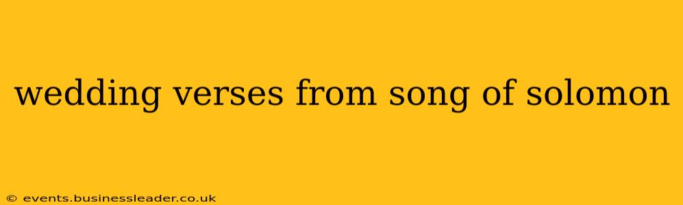 wedding verses from song of solomon