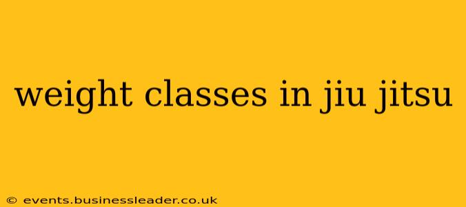 weight classes in jiu jitsu