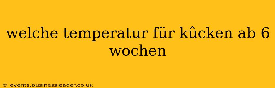 welche temperatur für kûcken ab 6 wochen