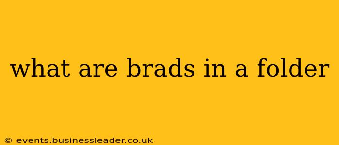 what are brads in a folder