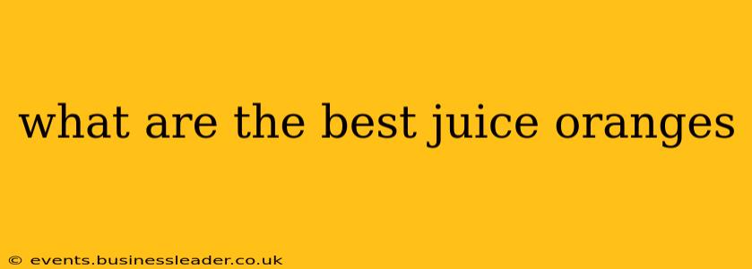 what are the best juice oranges