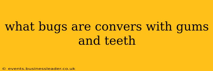 what bugs are convers with gums and teeth