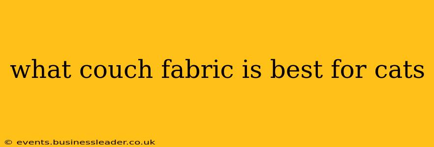 what couch fabric is best for cats