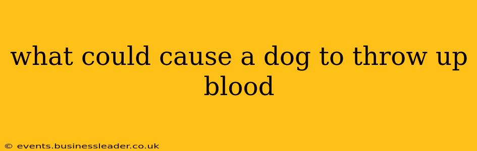 what could cause a dog to throw up blood