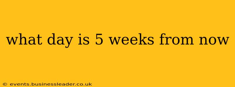 what day is 5 weeks from now