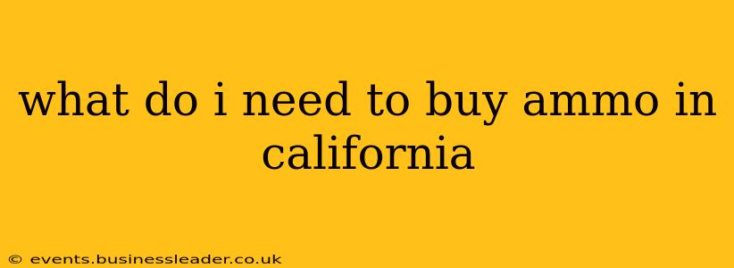 what do i need to buy ammo in california