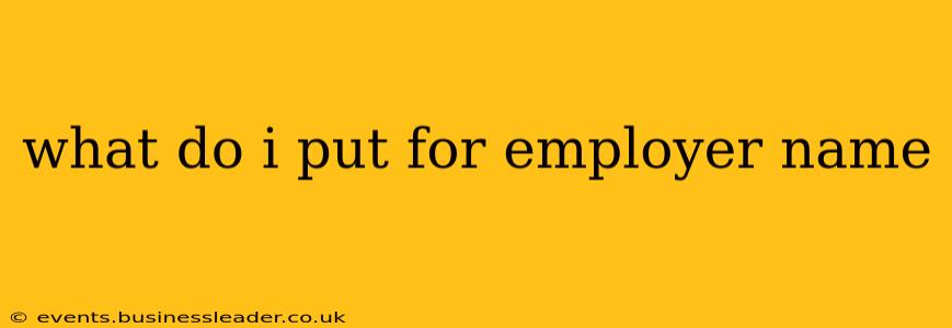 what do i put for employer name