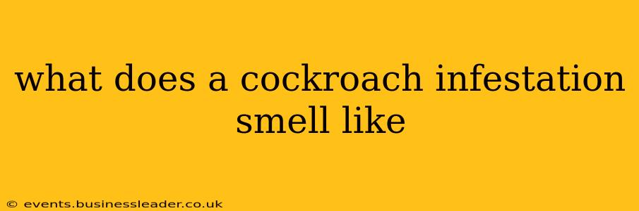 what does a cockroach infestation smell like