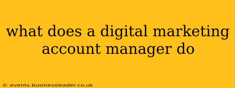 what does a digital marketing account manager do