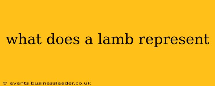 what does a lamb represent