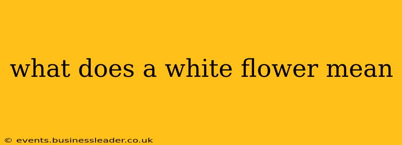 what does a white flower mean