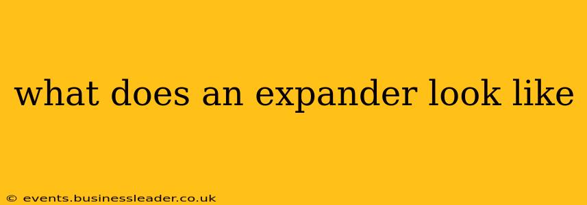 what does an expander look like