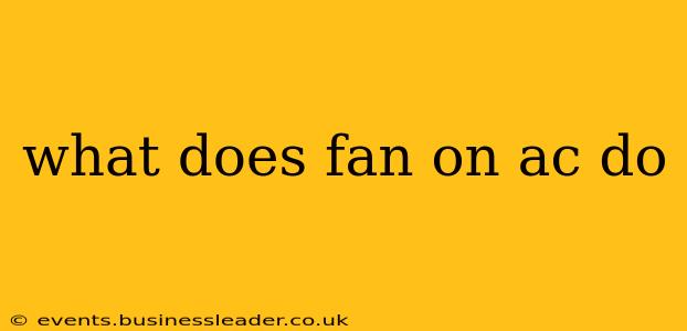 what does fan on ac do