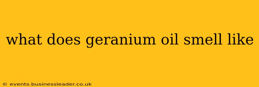 what does geranium oil smell like
