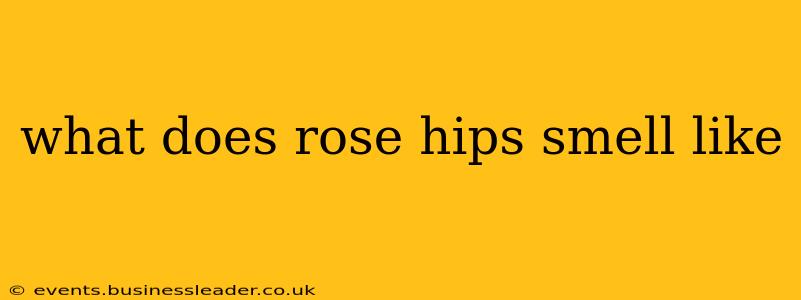 what does rose hips smell like