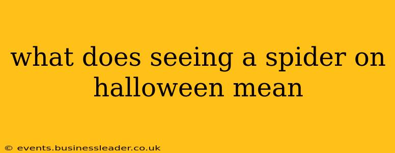 what does seeing a spider on halloween mean