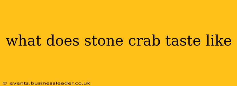 what does stone crab taste like