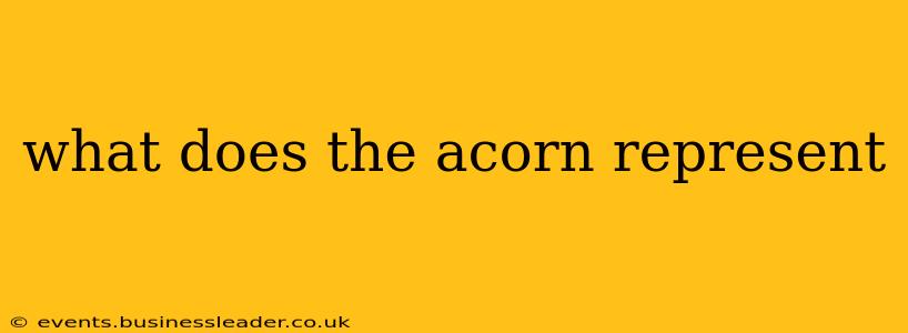 what does the acorn represent