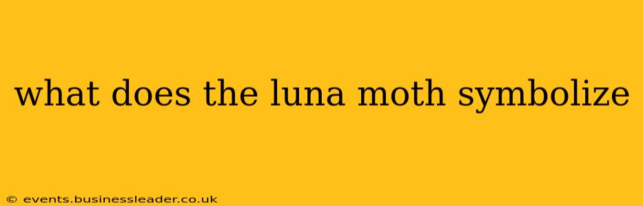 what does the luna moth symbolize
