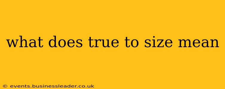 what does true to size mean