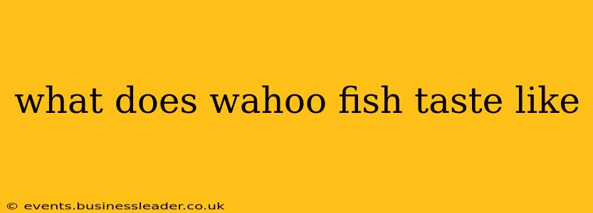 what does wahoo fish taste like