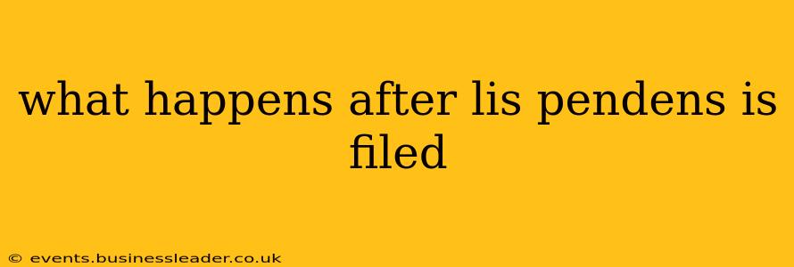 what happens after lis pendens is filed