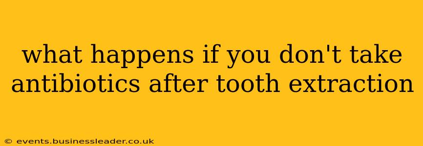 what happens if you don't take antibiotics after tooth extraction