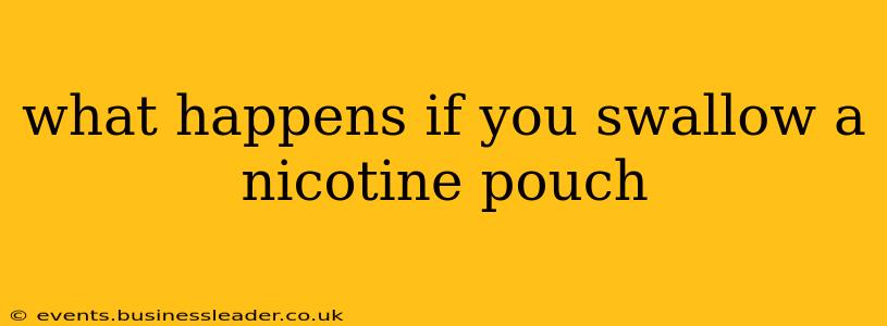 what happens if you swallow a nicotine pouch