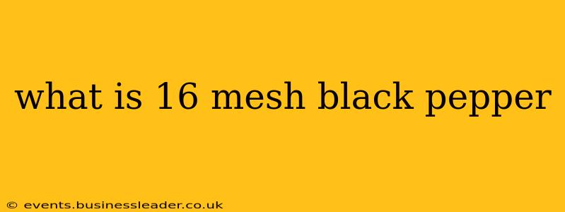 what is 16 mesh black pepper