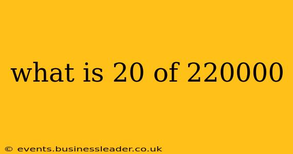 what is 20 of 220000