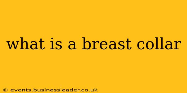 what is a breast collar