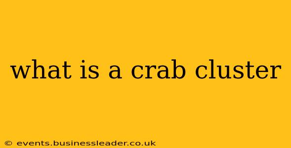 what is a crab cluster