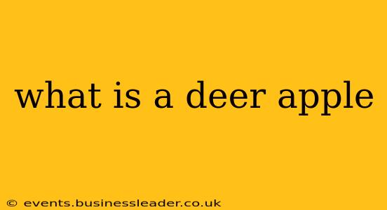 what is a deer apple