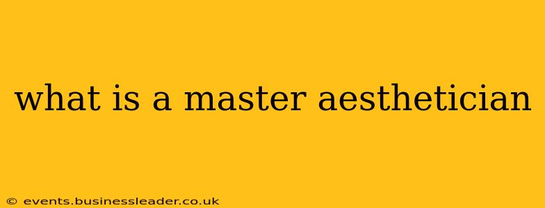 what is a master aesthetician