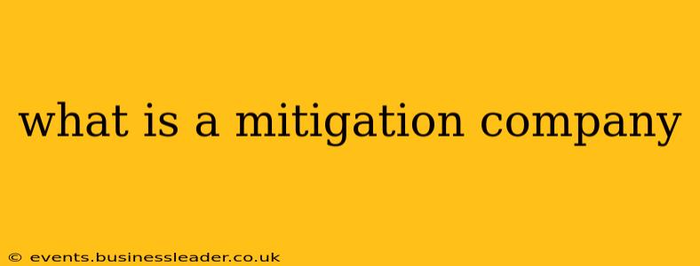 what is a mitigation company