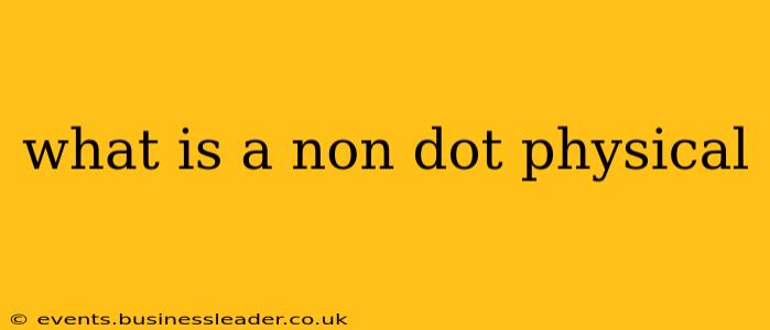 what is a non dot physical