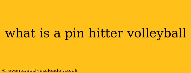 what is a pin hitter volleyball