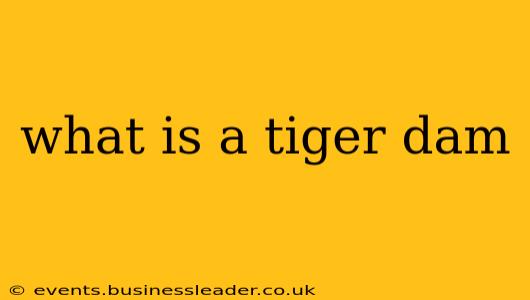 what is a tiger dam