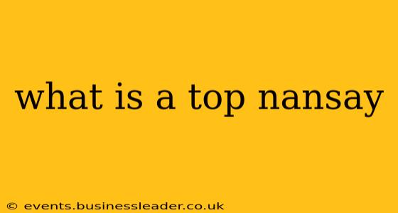 what is a top nansay