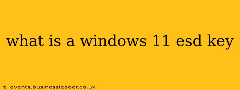 what is a windows 11 esd key