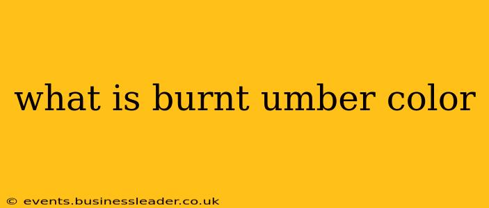 what is burnt umber color