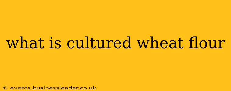 what is cultured wheat flour