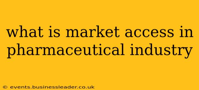 what is market access in pharmaceutical industry