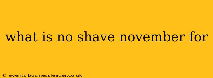 what is no shave november for
