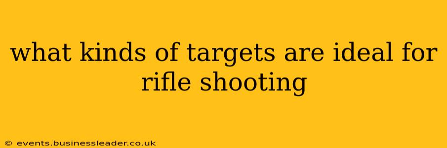 what kinds of targets are ideal for rifle shooting