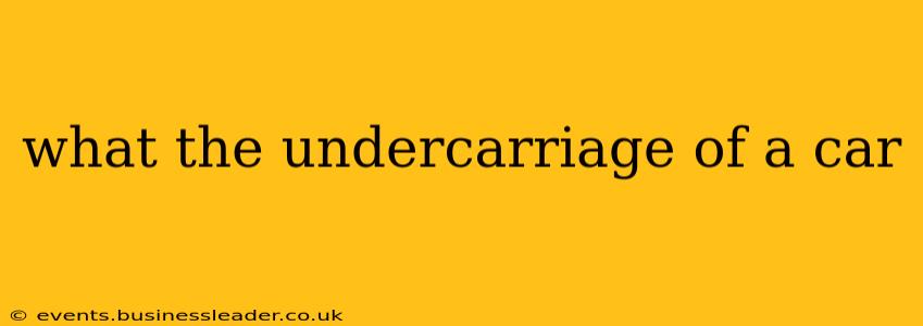 what the undercarriage of a car