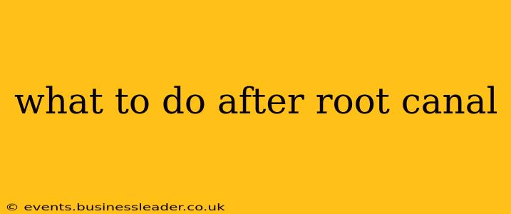 what to do after root canal